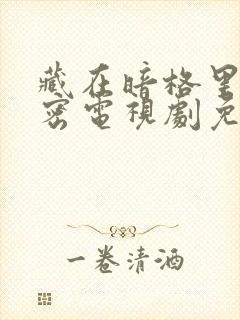 藏在暗格里的秘密电视剧免费看