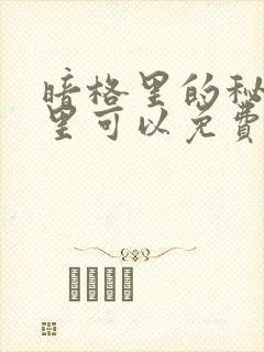 暗格里的秘密哪里可以免费观看封面