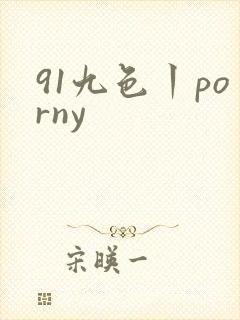 91九色丨porny