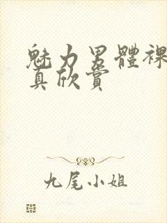 魅力男体裸体写真欣赏