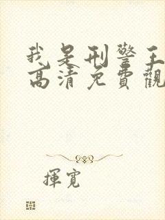 我是刑警王在线高清免费观看