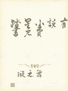 踏星小说有声听书免费