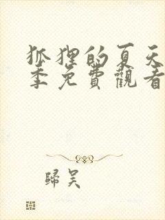 狐狸的夏天第二季免费观看全集