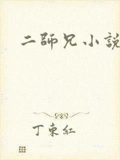 二师兄小说