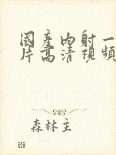 国产内射一级一片高清视频观看