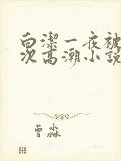 白洁一夜被爽7次高潮小说封面