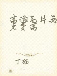 高潮毛片无遮挡免费高