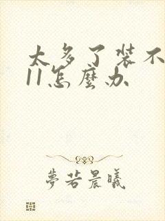 太多了装不下h11怎么办封面