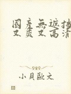 国产无遮挡又黄又爽又高清免费在线观看