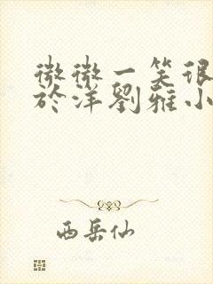微微一笑很倾城于洋刘雅小说