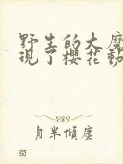 野生的大魔王出现了樱花动漫