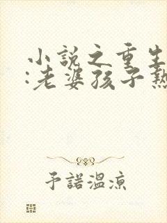 小说之重生79:老婆孩子热炕头