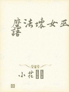 魔法坏女巫2国语