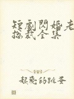 短剧闪婚老公是总裁全集