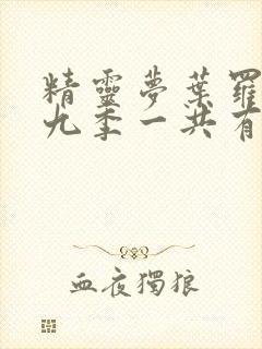 精灵梦叶罗丽第九季一共有多少集