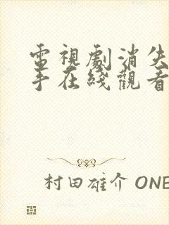 电视剧消失的凶手在线观看完整版超清