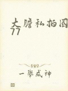 大胆私拍国模377