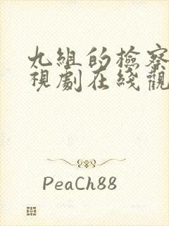 九组的检察官电视剧在线观看