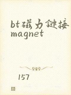 bt磁力链接 magnet