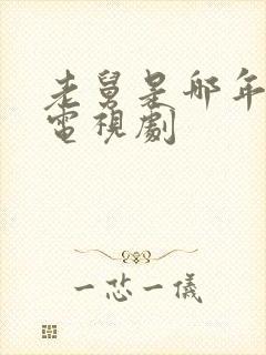 老舅是哪年拍的电视剧