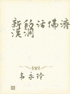 新的活佛济公罗汉洞封面