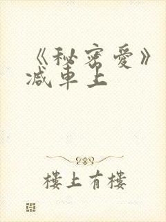 《秘密爱》未删减车上封面