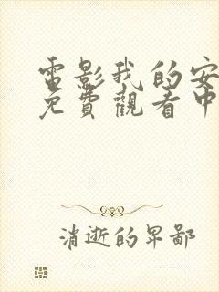 电影我的安德烈免费观看中文