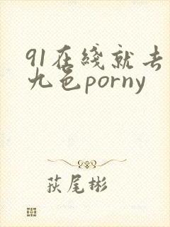 91在线就去色九色porny