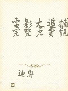 电影大追捕在线完整免费观看