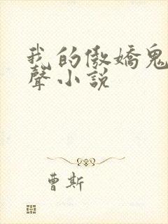 我的傲娇鬼夫有声小说