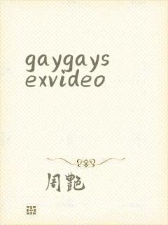 gaygaysexvideo