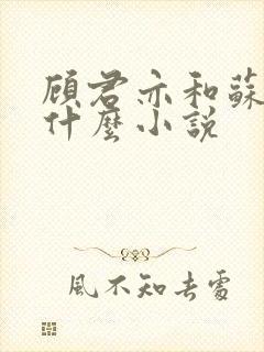 顾君亦和苏杳是什么小说