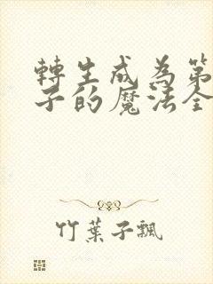 转生成为第七王子的魔法全解