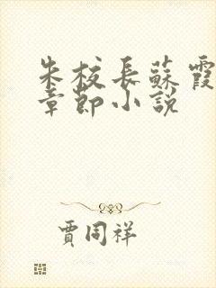 朱校长苏霞全部章节小说