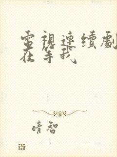 电视连续剧妈妈在等我