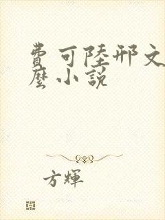 费可陆邢文是什么小说