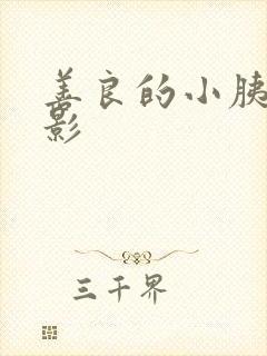 善良的小胰子电影封面