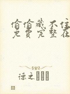 偷偷藏不住小说免费完整在线阅读