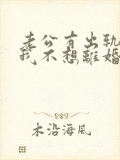 老公有出轨咋办我不想离婚封面