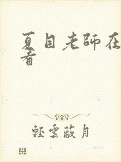 夏目老师在线观看