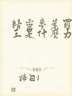 精灵梦叶罗丽世王是什么力量