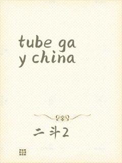 tube gay china