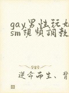 gay男性玩奴sm视频调教