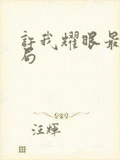 许我耀眼最后结局