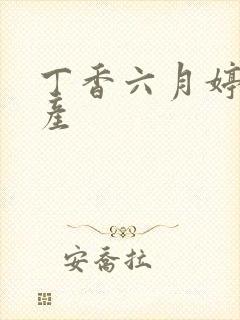 丁香六月婷婷国产