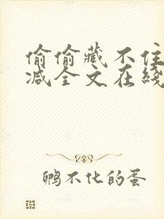 偷偷藏不住无删减全文在线阅读