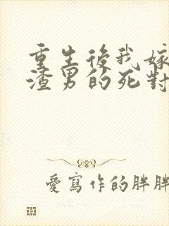 重生后我嫁给了渣男的死对头下载封面