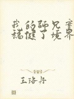 我的师兄实在太稳健了境界划分封面