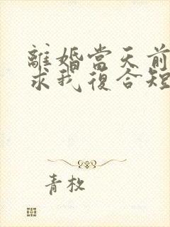 离婚当天前夫跪求我复合短剧免费观看