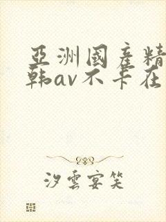 亚洲国产精品日韩av不卡在线